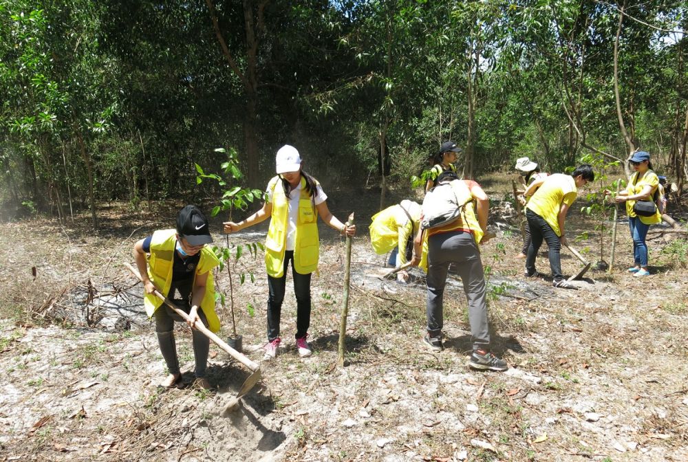 CapitaLand and Ascott join hands to do tree planting
