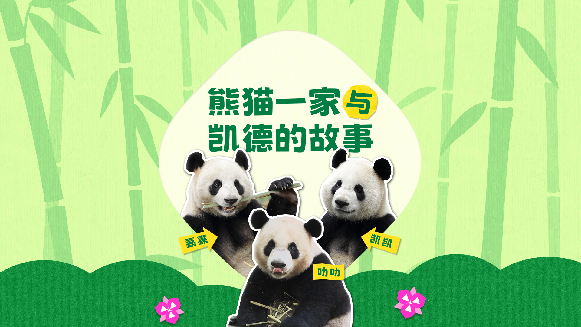 凯德集团积极支持中国大熊猫保护事业