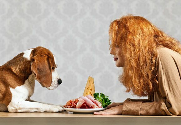 Your furry, feathered, and finned friends can dine off your table if you know the right people food to give them
