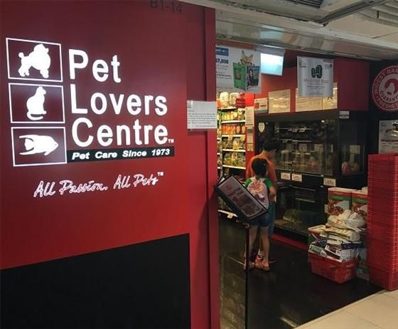 Pet Lovers Centre Pets Hobbies Leisure Junction 8