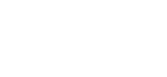 Pune Chakan