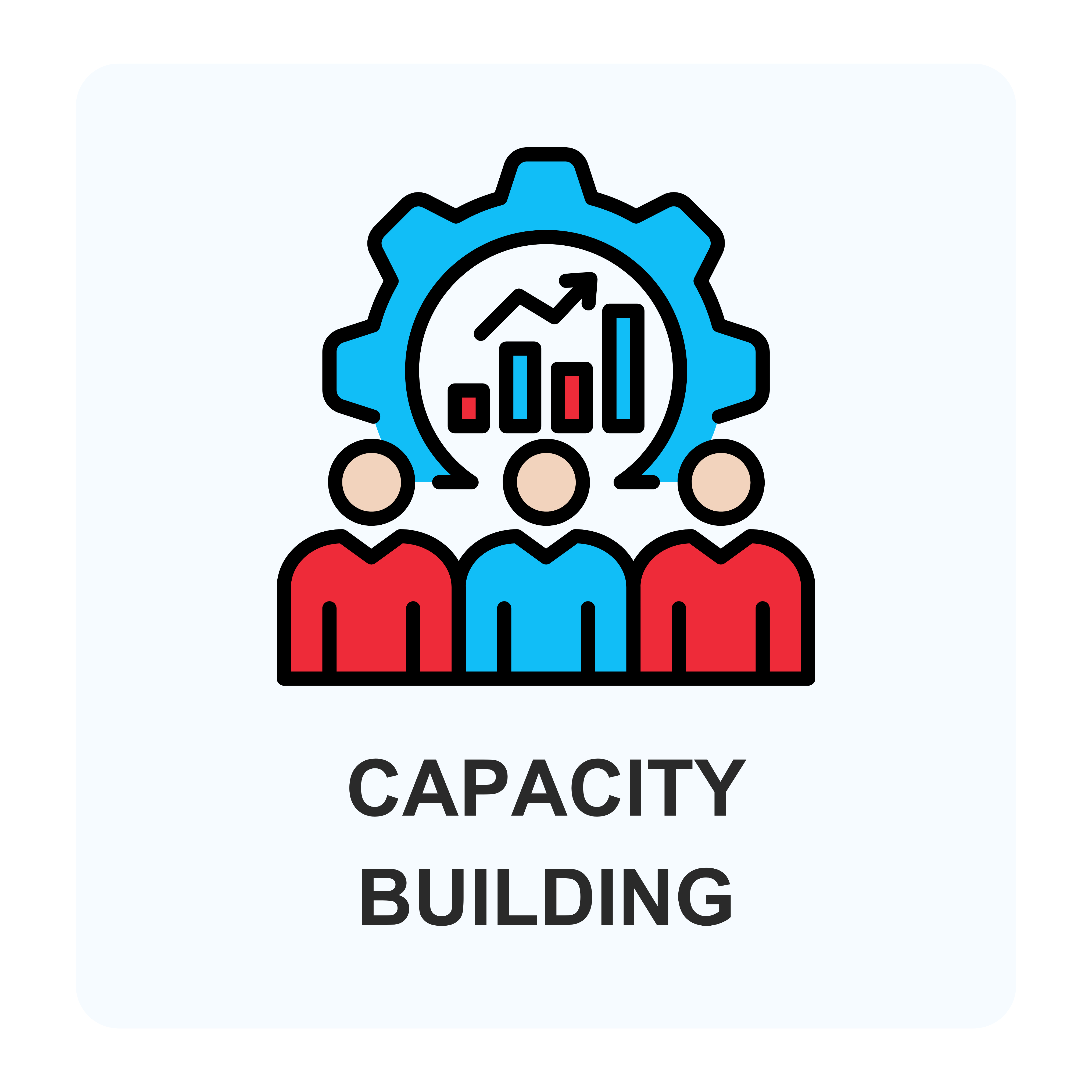 Capacity Building