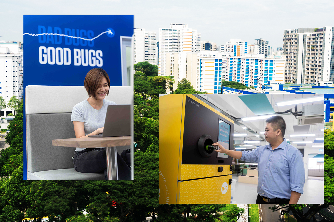dengue and recycling cover banner