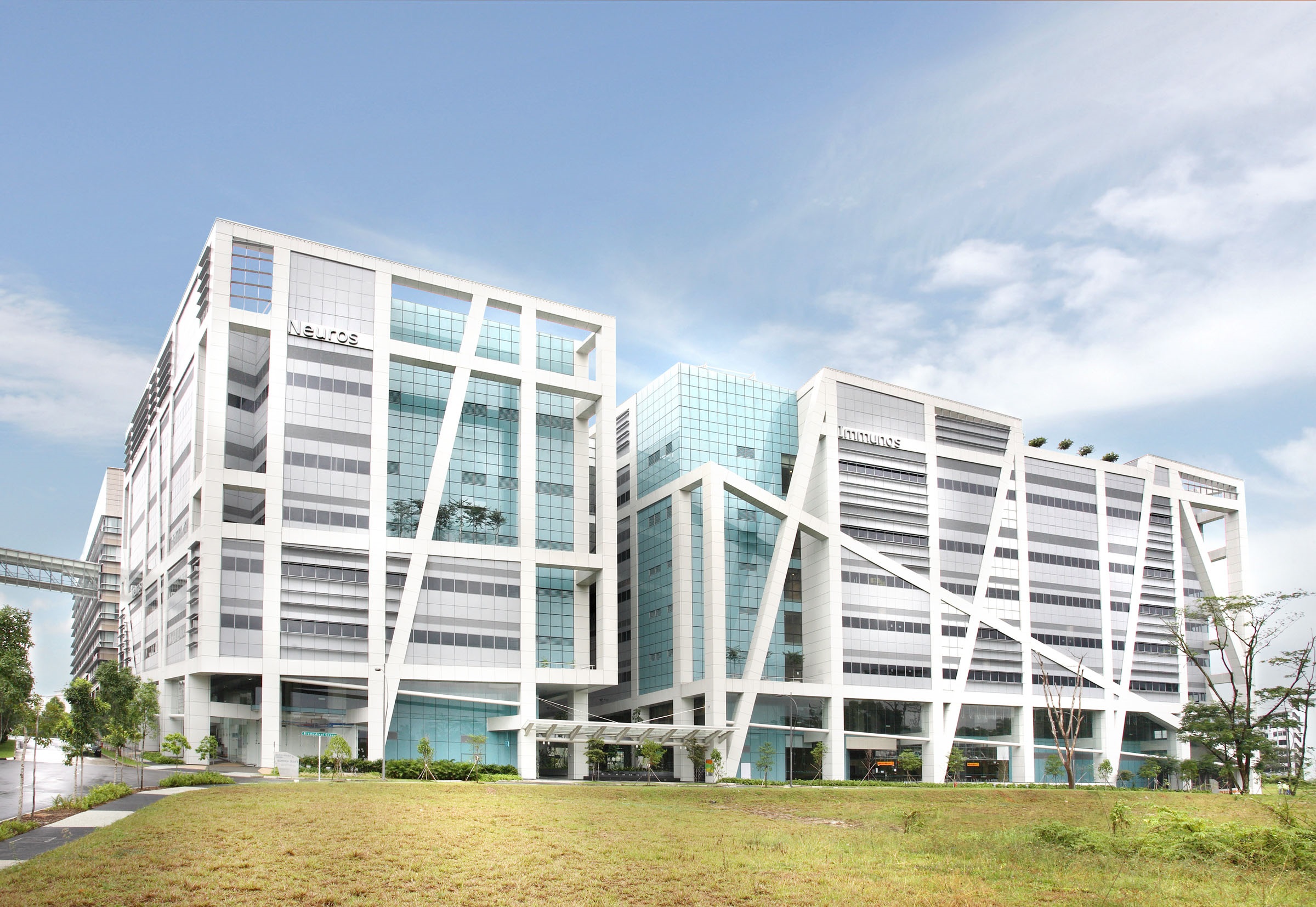 neuros and immunos facade